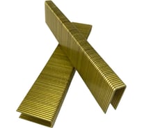 Усиленная скоба ForEst H-25 cnk (тип 92) 6600 штук МБ000018501