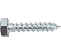 Сантехнический болт Tech-Krep/Zitar DIN 571 оцинкованный 10х50 2 шт - пакет 102593