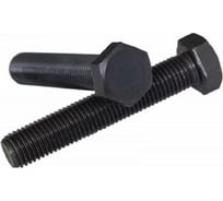 Болт Море-Метизов DIN 933, класс прочности 12.9, оксид, M8x120 мм, 2 шт. BOLT93381202M