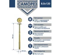 Саморез Daxmer конструкционный с прессшайбой TORX 8,0x120, 50 шт 00000436050