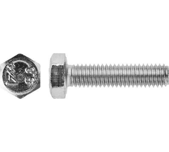 Болт ЗУБР ГОСТ 7798-70, M6 x 60 мм, 5 кг, (примерно 393 шт.) кл. пр. 5.8, оцинкованный, 303080-06-060 1
