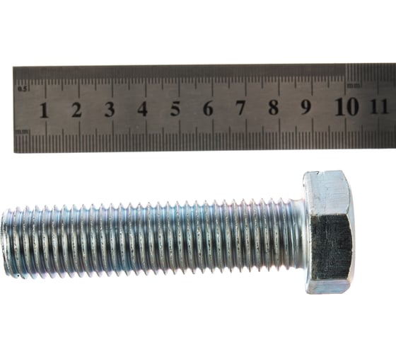 Болт ЗУБР ГОСТ 7798-70, M20 x 80 мм, 5 кг, (примерно 21 шт.) кл. пр. 5.8, оцинкованный, 303080-20-080