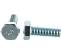 Болт ЗУБР ГОСТ 7798-70, M10 x 30 мм, 5 шт, кл. пр. 5.8, оцинкованный, 303086-10-030