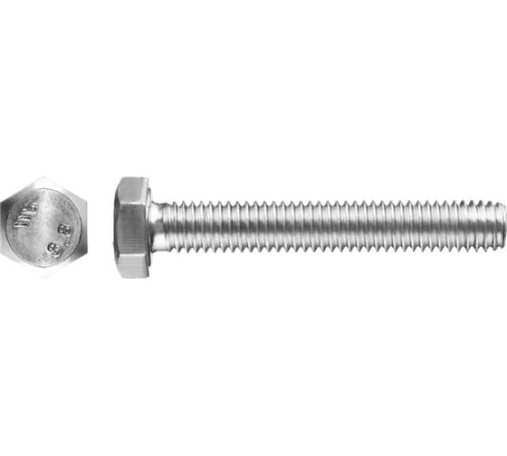 Болт ЗУБР ГОСТ 7798-70, M6 x 20 мм, 8 шт, кл. пр. 5.8, оцинкованный, 303086-06-020