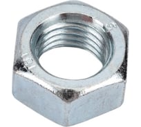 Гайка ЗУБР ГОСТ 5927-70, M16, 2 шт, кл. пр. 6, оцинкованная, 303556-16