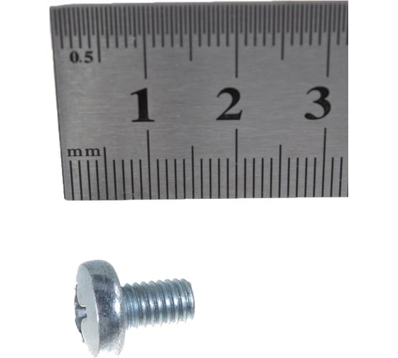 Винт ЗУБР DIN 7985, M6 x 10 мм, 5 кг, (примерно 1075 шт.) кл. пр. 4.8, оцинкованный, 303150-06-010