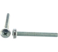 Винт ЗУБР DIN 7985, M5 x 40 мм, 5 кг, (примерно 769 шт.) кл. пр. 4.8, оцинкованный, 303150-05-040