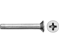 Винт ЗУБР DIN 965, M6 x 30 мм, 5 кг, (примерно 877 шт.) кл. пр. 4.8, оцинкованный, 303110-06-030