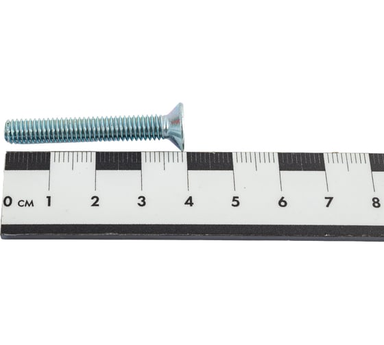 Винт ЗУБР DIN 965, M6 x 40 мм, 6 шт, кл. пр. 4.8, оцинкованный, 303116-06-040