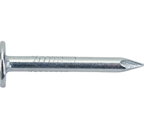 Гвозди с большой потайной головкой ЗУБР оцинкованные, 30 х 3.0 мм, 5 кг (примерно 2400 шт.) 305090-30-030