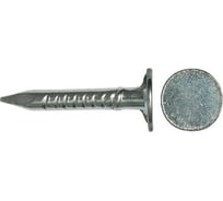 Оцинкованные гвозди с большой головкой Зубр, в п/э пакете, 3,0x50мм, 25шт 3060-30-50