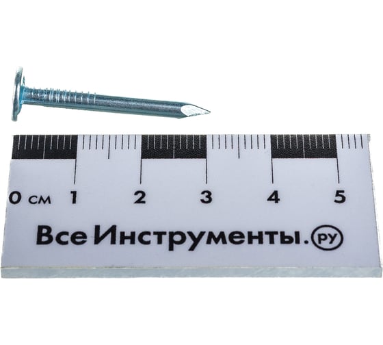 Гвозди ЗУБР с большой потайной головкой, оцинкованные 30 х 3.0 мм 1 кг (примерно 480 шт.) 305091-30-030
