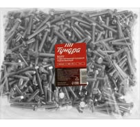 Болт ТУНДРА krep с шестигранной головкой, цинк, DIN933, М6x40 мм, 5 кг 2615042