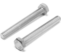 Болт ТУНДРА krep с шестигранной головкой, цинк, DIN933, М6x50 мм, 1 кг 9675423