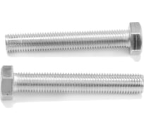 Болт ТУНДРА с шестигранной головкой, цинк, DIN933, М16x100 мм, 1 кг 9901426
