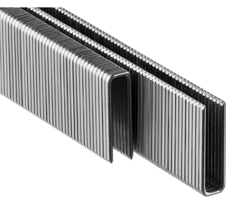 Особотвердые тонкие скобы ЗУБР Профессионал широкие, тип 55, 20 мм, 2500 шт. 31855-20