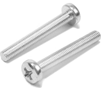 Винт ТУНДРА с полукруглой головкой, цинк, DIN7985, М8x60 мм, 100 шт 9901411