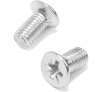 Потайной винт ТУНДРА, цинк, DIN965, М4x8 мм, 2000 шт 9870155 9901438