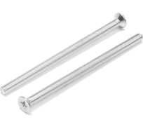 Потайной винт ТУНДРА, цинк, DIN965, М5x70 мм, 120 шт 9901445 9901447