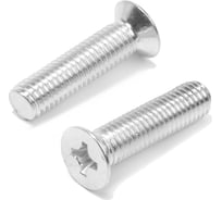 Потайной винт ТУНДРА, цинк, DIN965, М10x20 мм, 150 шт 9901462 9901463