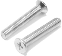 Потайной винт ТУНДРА, цинк, DIN965, М5x20 мм, 800 шт 9901440 9901442