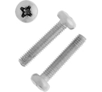Винт ТУНДРА с полукруглой головкой, цинк, DIN7985, М4x16 мм, 2000 шт 9511122 9511123