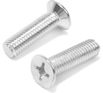 Потайной винт ТУНДРА, цинк, DIN965, М6x90 мм, 120 шт 9901451 9901454
