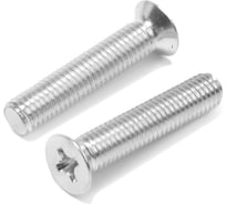 Потайной винт ТУНДРА, цинк, DIN965, М10x40 мм, 100 шт 9901463 9901464