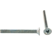 Винт Зубр DIN 965, класс прочности 8.8, оцинкованный, M3x25 мм, ТФ0, 13000 шт 4-303110-03-025