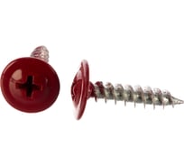 Прессшайба Качественный КРЕПЕЖ 4.2х19 мм, красно-коричневый RAL 3011, острая, 250 шт 0300243 КЧ