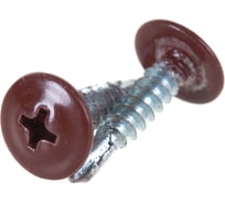 Прессшайба Качественный КРЕПЕЖ 4.2х19 мм, красная окись RAL 3009, сверло, 250 шт 0300233 КЧ