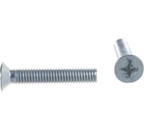 Потайной винт с метр. резьбой крепежная техника DIN 965, 6x35, 350 шт 493674 БК