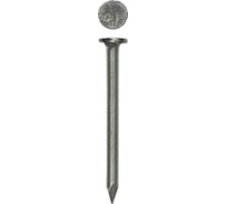 Гвозди строит Зубр МАСТЕР 305016-25-050