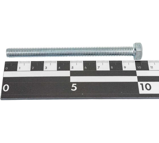 Болты ГОСКРЕП DIN933 М8х100 55 шт., пакет 6-0045820