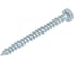 Сантехнический шуруп ГОСКРЕП 6х60 160 шт., пакет 3-0011380 3