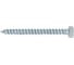 Сантехнический шуруп ГОСКРЕП 6х60 160 шт., пакет 3-0011380 5