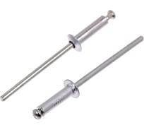 Вытяжные заклепки ТУНДРА krep алюминий-сталь, 3.2x12 мм, в пакете 1000 шт. 2502518