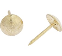 Декоративные гвозди ТУНДРА 8x15 мм, цвет золото, в упаковке 500 шт. 3593252