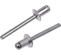Вытяжные заклепки ТУНДРА krep алюминий-сталь, 4.8x8 мм, 500 шт. 2502524