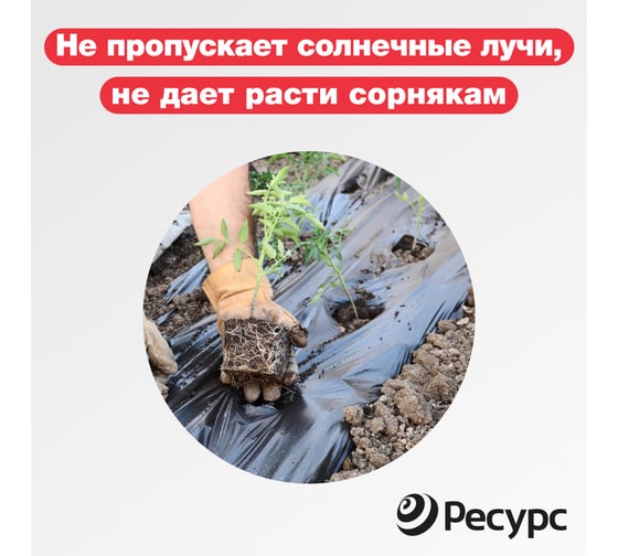 Пленка черная (80 мкм, 5х1.5 м) Ресурс 10081