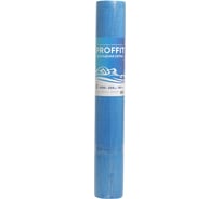 Стеклотканевая сетка PROFFIT 160 (синяя; ячейка 5х5 мм; 1х50 м) 1715