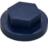 Декоративные колпачки для гаек и болтов НАЮ М10, под ключ 17, 10 шт., цвет темно-синий М10-темно-синий