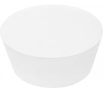 Термостойкая коническая заглушка для защиты внутренней резьбы Миниворкс M64, GAS/BSP 2, выдерживает до 315 C, цвет бесцветный – (1 шт.) TRS62,7