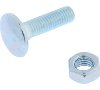 Мебельный болт ТУНДРА krep DIN603 8x30 с гайкой, цинк, 6 шт. 7156668