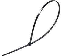 Универсальный пластиковый хомут ЭВРИКА черный 4.0x250мм 100шт ER-14250