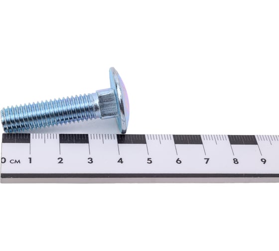 Мебельный болт STEELREX DIN 603, цинк, М10x40 мм, 20 шт. 0213010040B400002032