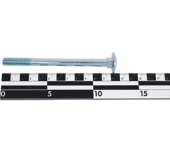 Мебельный болт STEELREX DIN 603, цинк, М10x120 мм, 15 шт. 0213010120B300001516