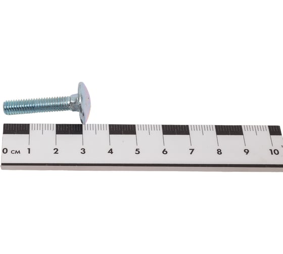Мебельный болт STEELREX DIN 603, цинк, М6x30 мм, 60 шт. 0213006030B400006032