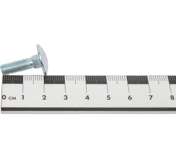 Мебельный болт STEELREX DIN 603, цинк, М6x20 мм, 100 шт. 0213006020B400010032