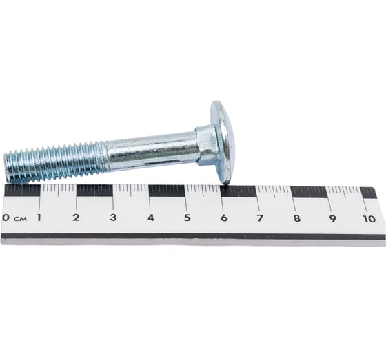 Мебельный болт STEELREX DIN 603, цинк, М10x60 мм, 15 шт. 0213010060B400001532